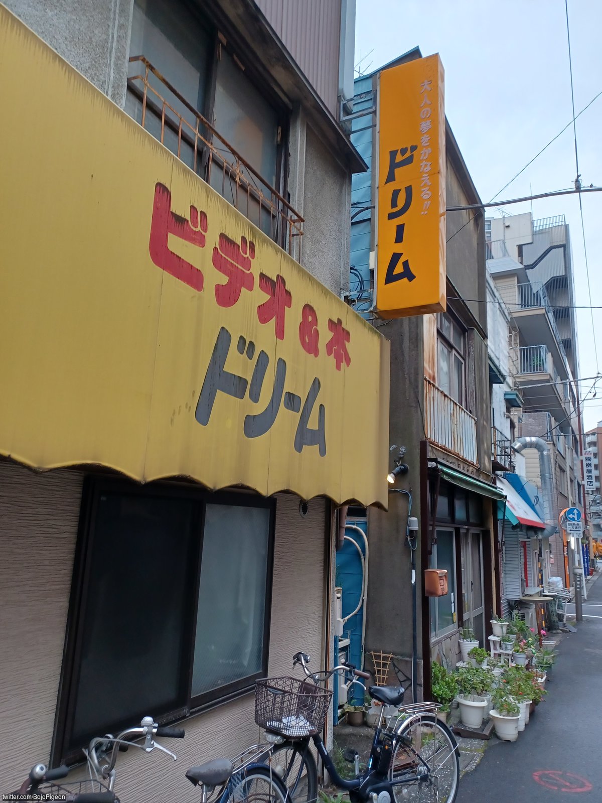 Video and Book Dream