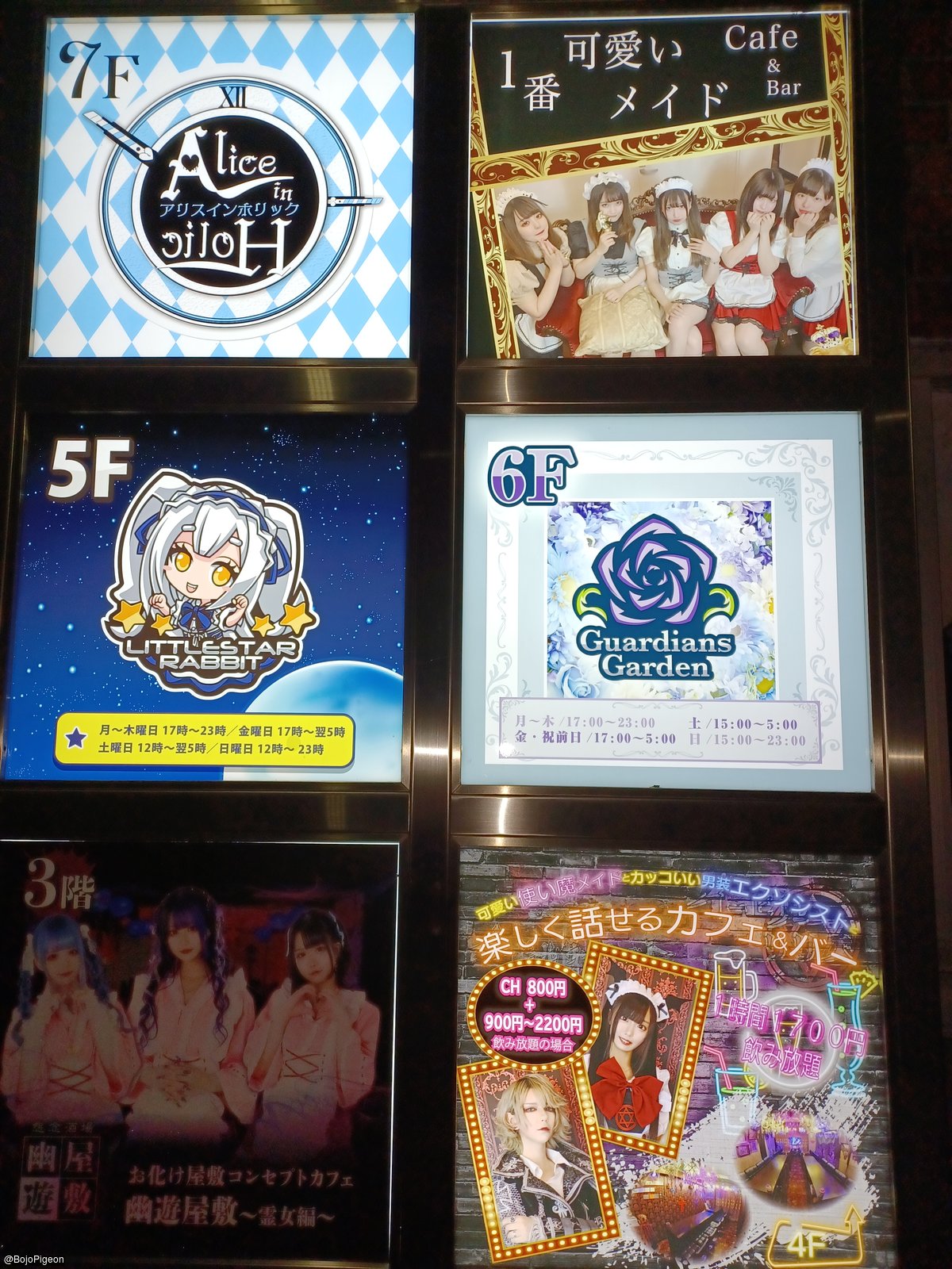 Just One Building with Various Maid Cafes