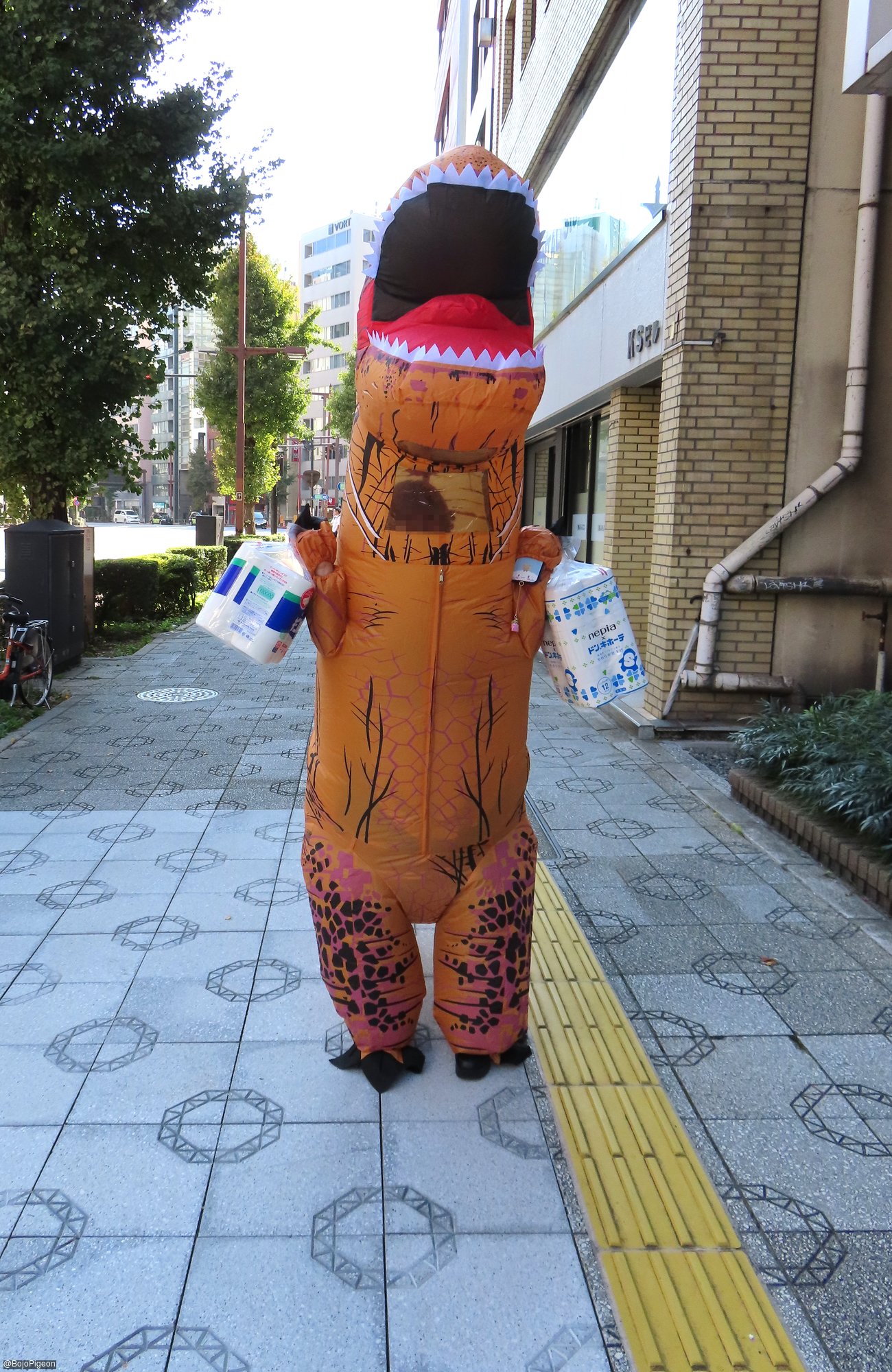 Zaurus @ Cutie Relax